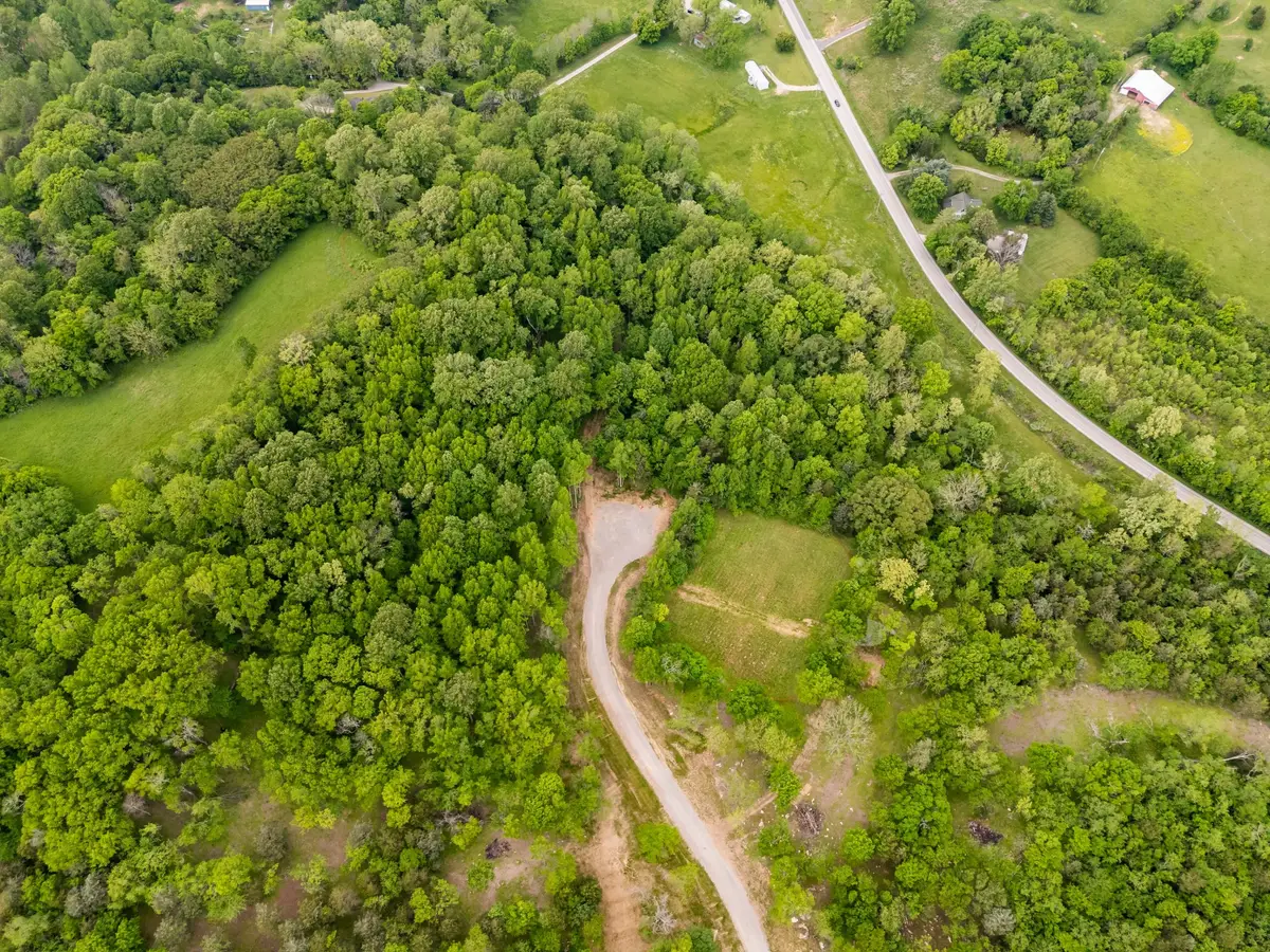 0 Arno Allisona Rd, College Grove, TN 37046 - #1