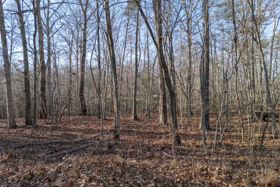 0 Satsuma Dr, Crossville, TN 38555 - #2