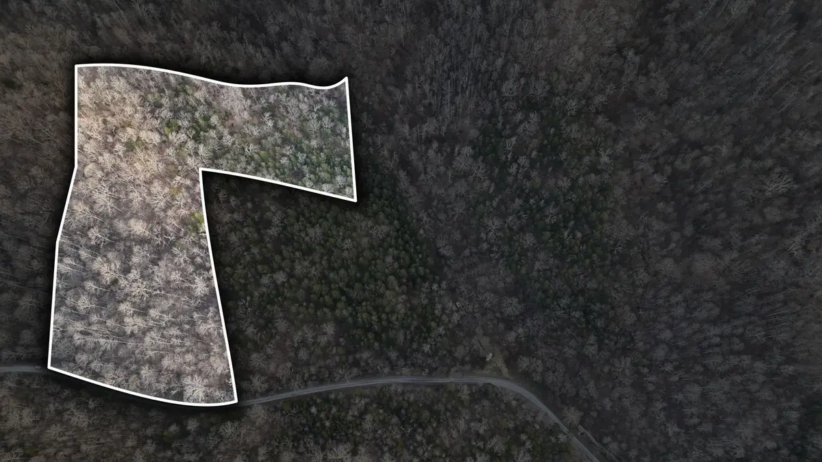 #1