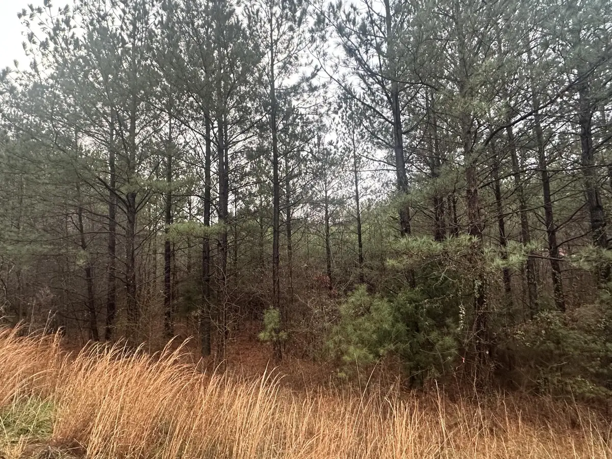 160 Mountain View Circle, Ocoee, TN 37361 - #1