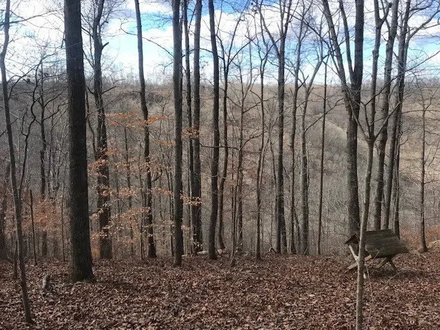 #2