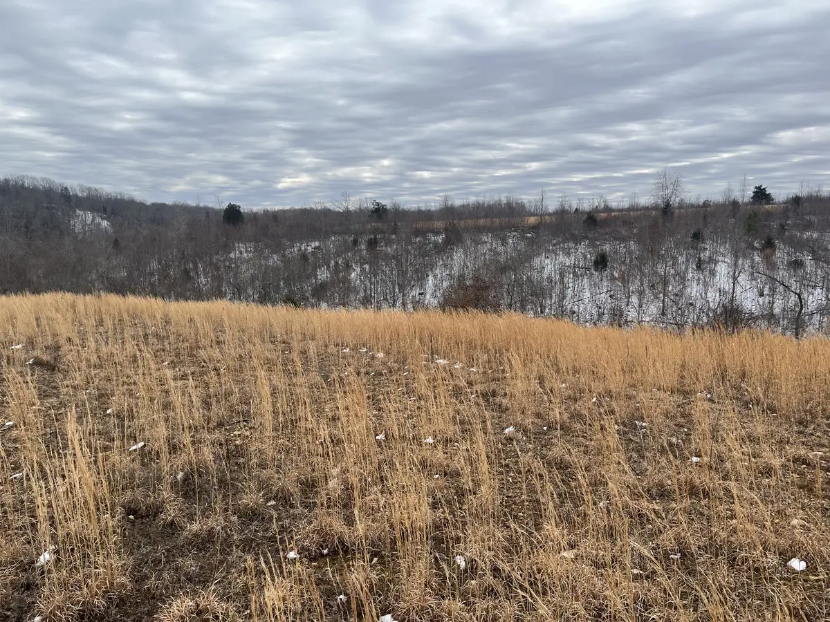 169 Twin Pines Rd, Lobelville, TN 37097 - Image #1