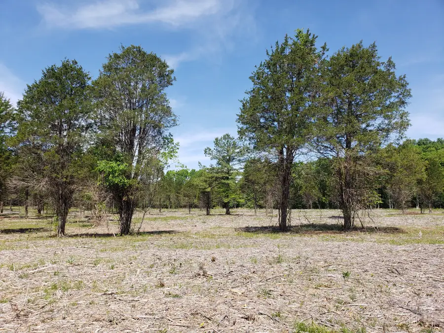 4857 Kedron Rd, Spring Hill, TN 37174 - Image #2