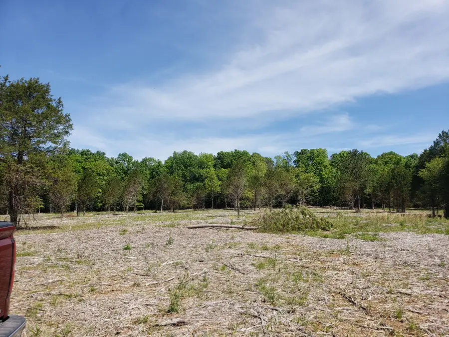 4857 Kedron Rd, Spring Hill, TN 37174 - Image #3