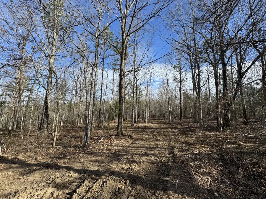 0 Old Mail Road, Duck River, TN 38454 - #2