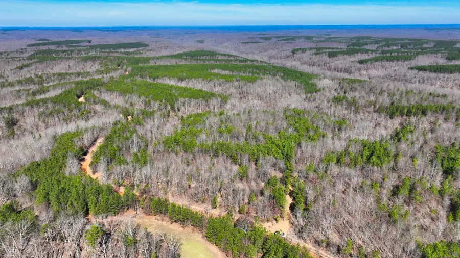 0 Old Mail Road, Duck River, TN 38454 - #3