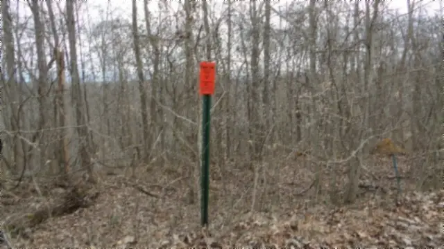#3