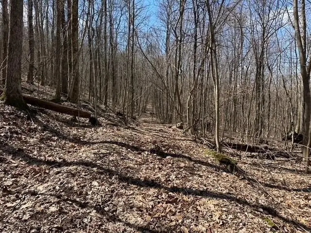 #3