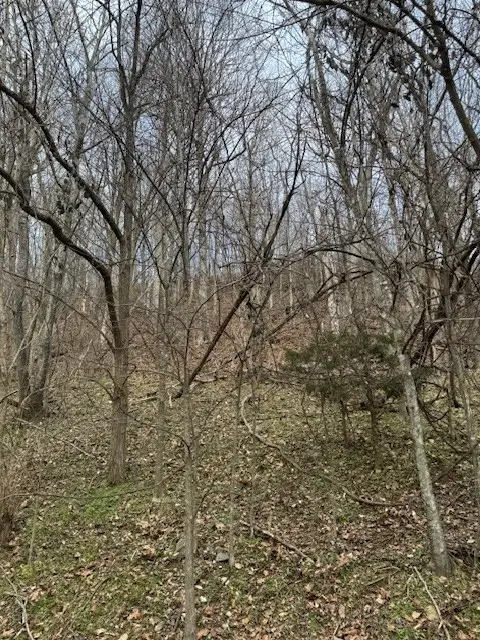 #1