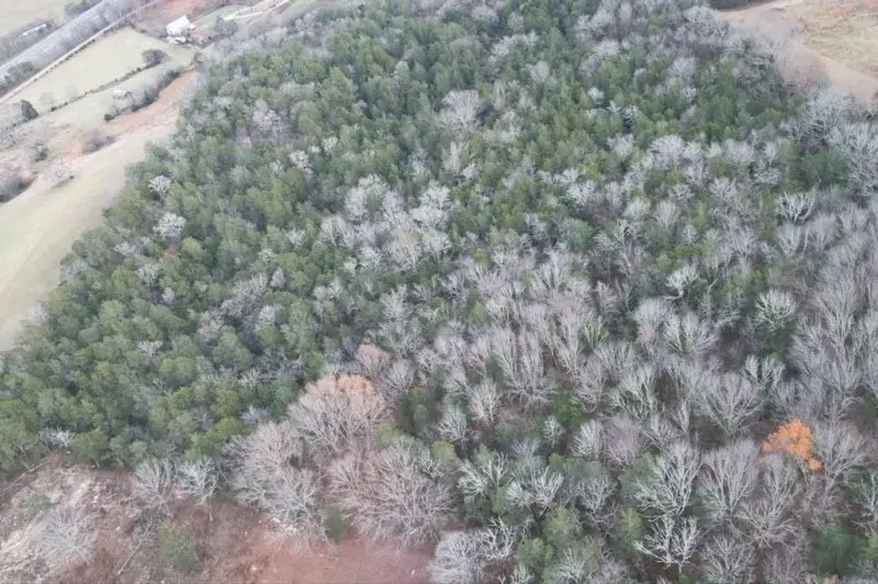 0 Interstate 65 Access Road, Pulaski, TN 38478 - Image #3