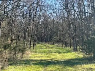#3
