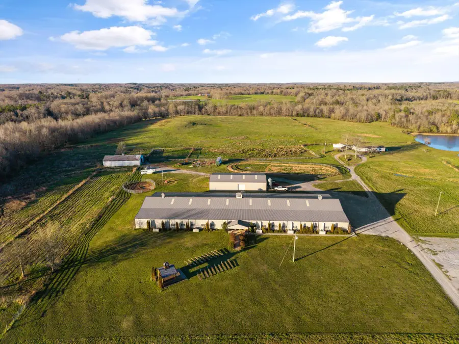 1255 County Road 72, Danville, AL 35619 - Image #3