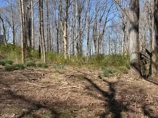 #2