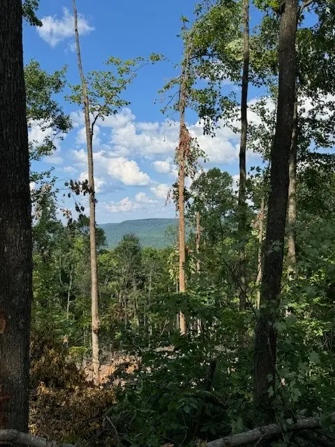 #3