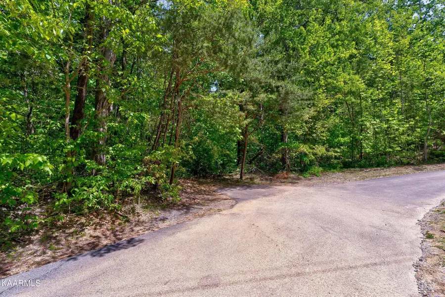 650 Silver Poplar Lane, Sevierville, TN 37876 - Image #3