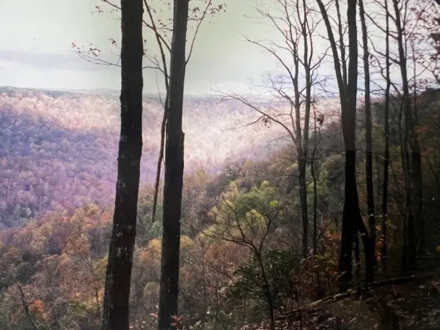 #2