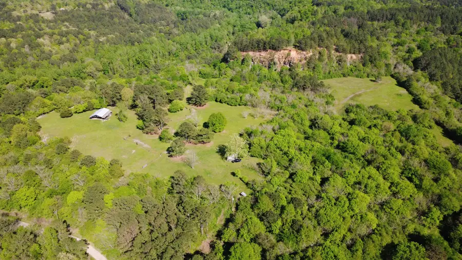 1915 Gurley Road, Trafford, AL 35172 - Image #2