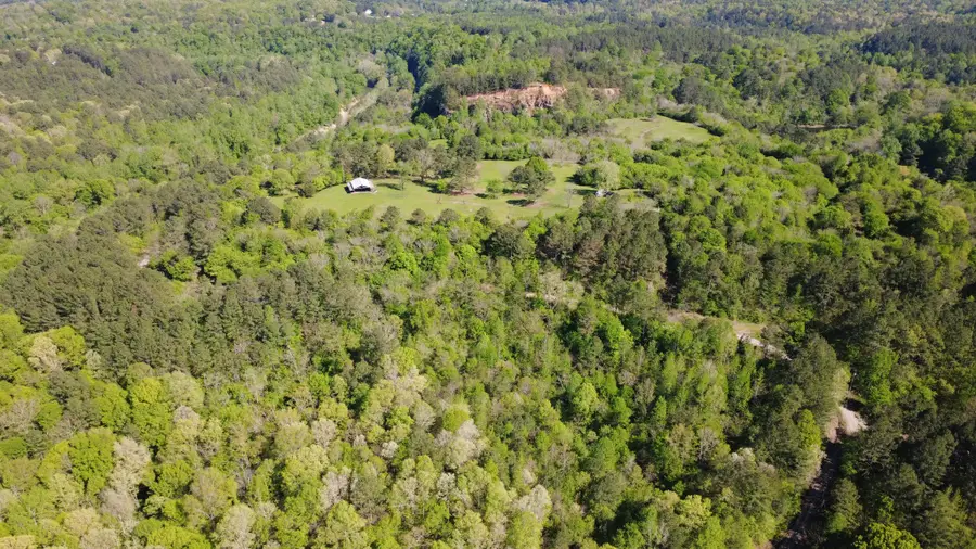 1915 Gurley Road, Trafford, AL 35172 - Image #3