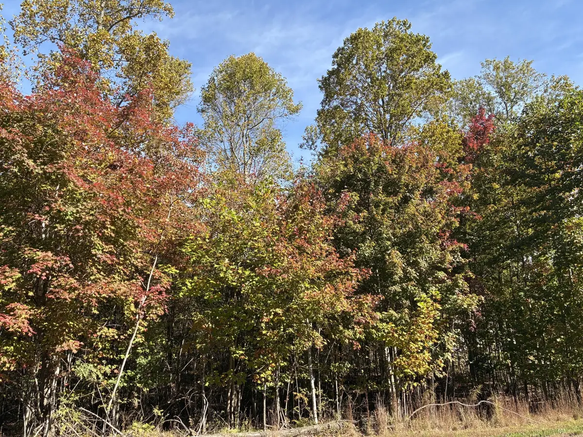 270 Volunteer Street, Jasper, TN 37347 - Image #1