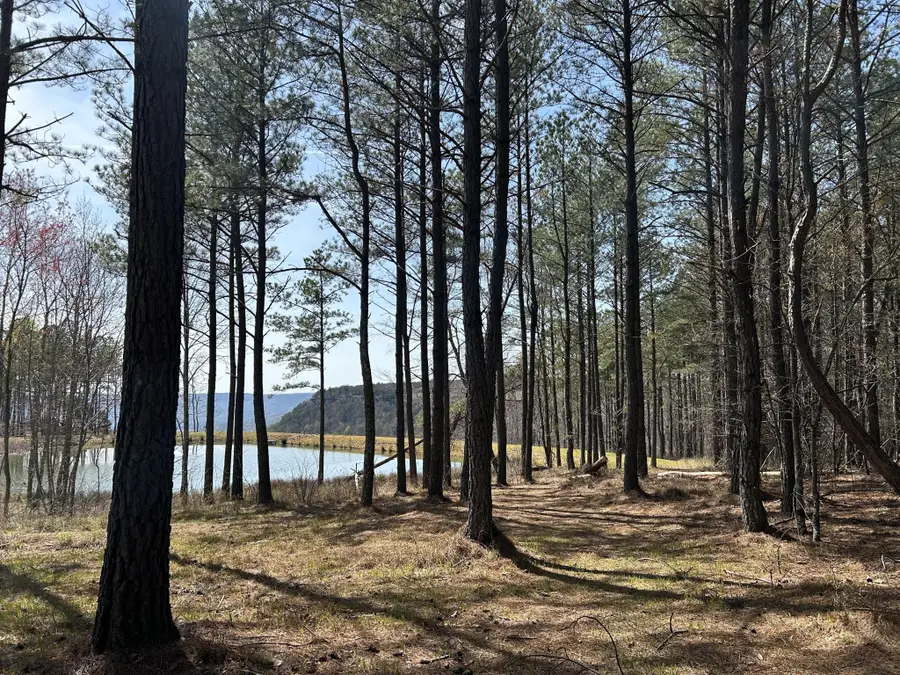 4093 Raulston Falls Road, Jasper, TN 37347 - Image #3