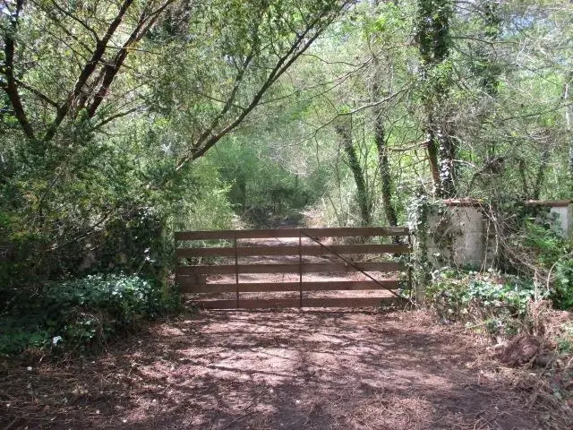 0 Honeycomb Rd, Grant, AL 35747 - Image #1