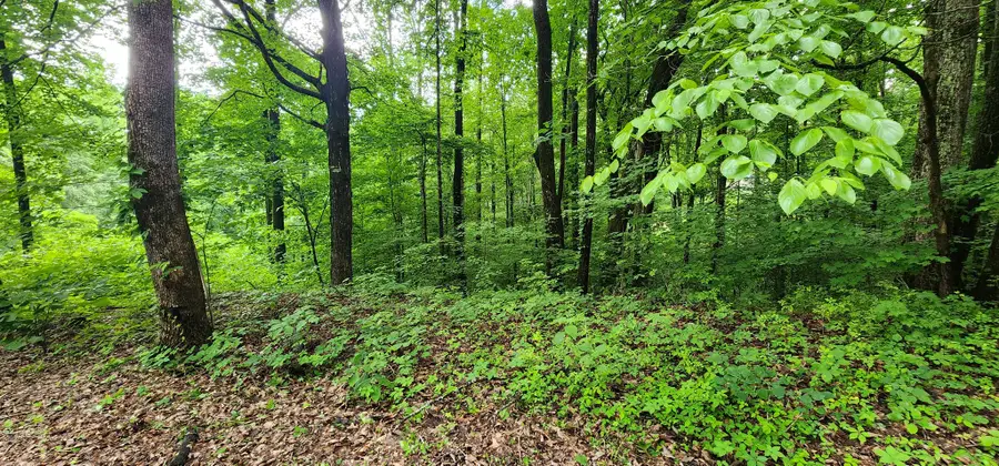 0 Poplar Pl, Smithville, TN 37166 - Image #3