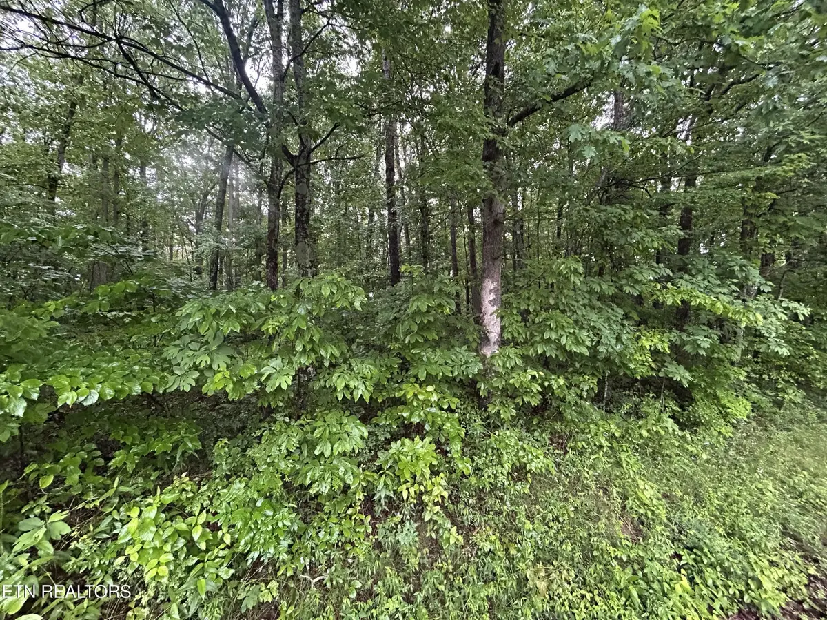 0 Wilder Rd, Clarkrange, TN 38553 - #1