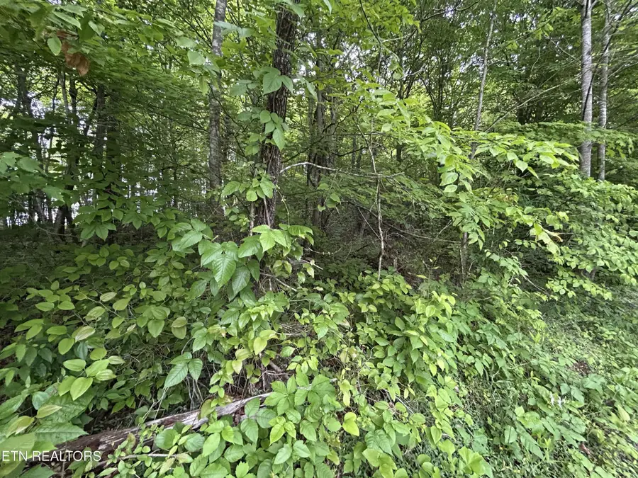 0 Hensley Rd, Jamestown, TN 38556 - Image #2