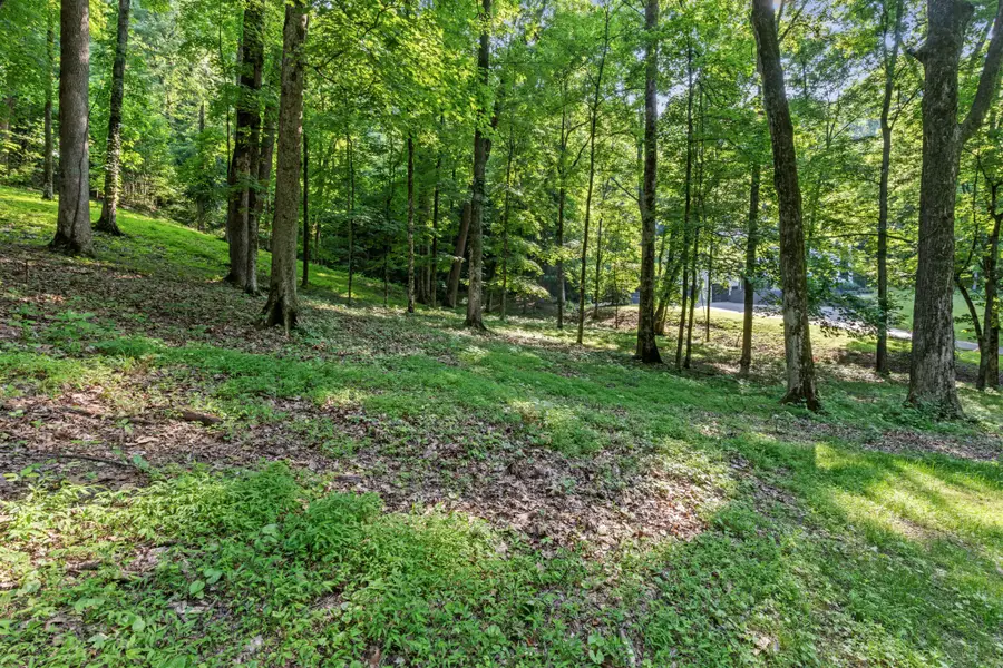 35 Annandale, Nashville, TN 37215 - Image #2