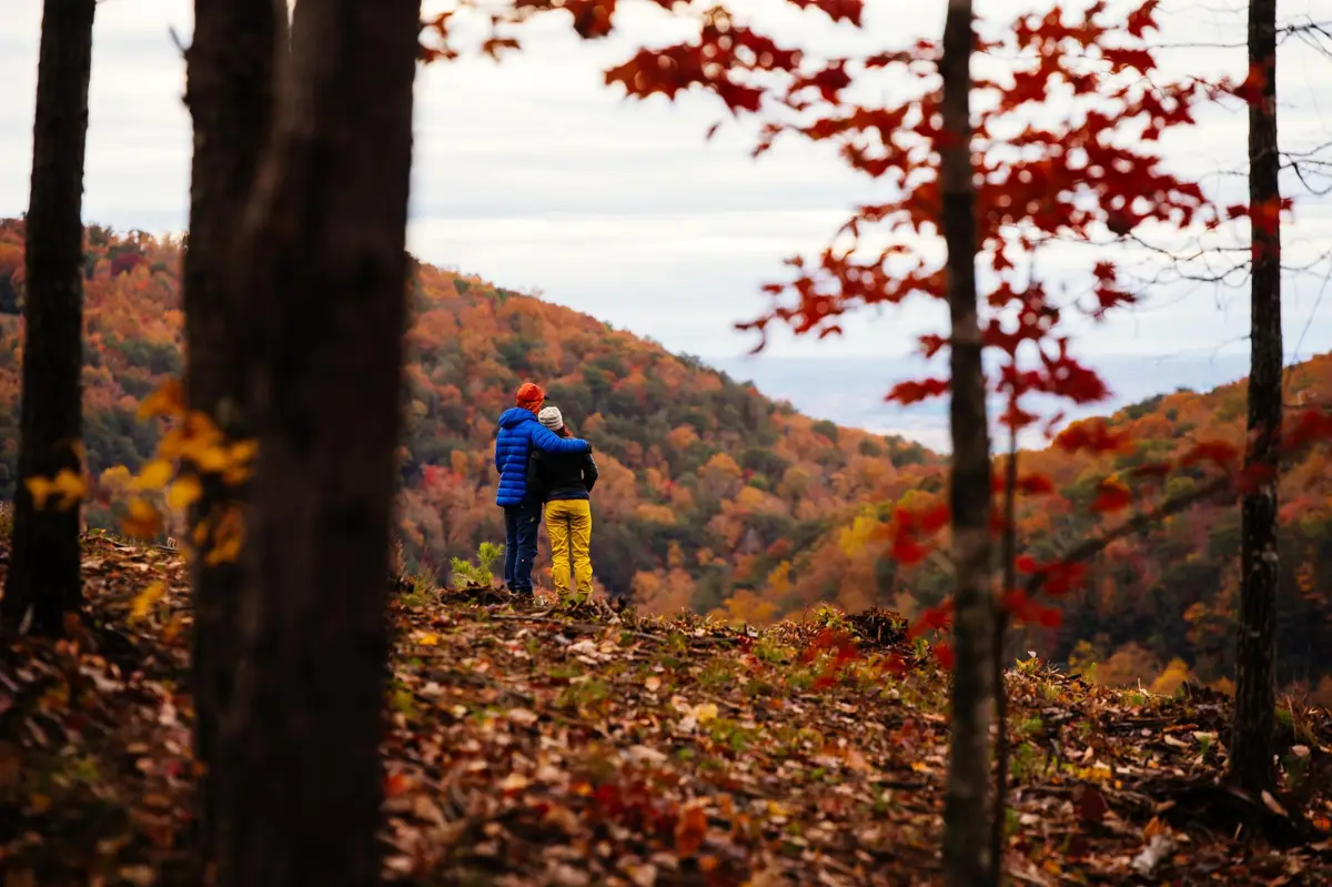 0 Worley Road, Soddy Daisy, TN 37379 - Image #1