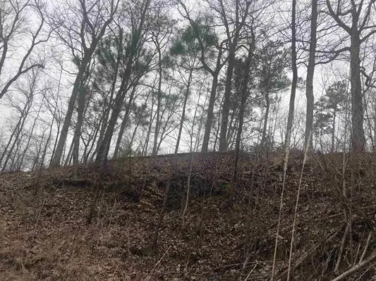 0 Breeze Point, Savannah, TN 38372 - Image #3