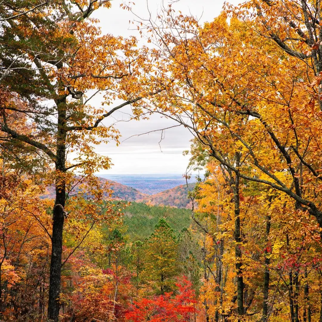 0 Worley Road, Soddy Daisy, TN 37379 - Image #1