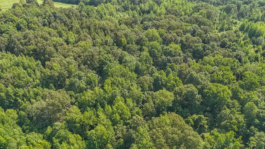 495 Highway 22, Jacks Creek, TN 38347 - Image #2