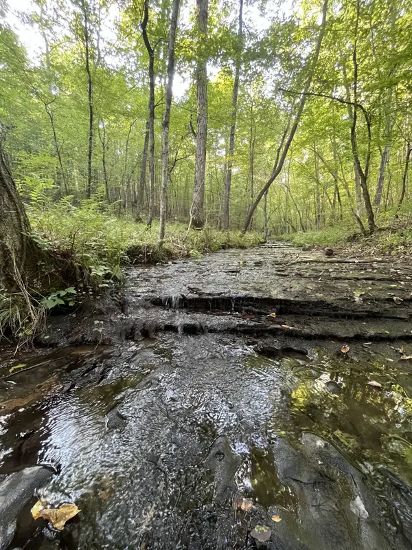 481 Hillbrook Dr, Linden, TN 37096