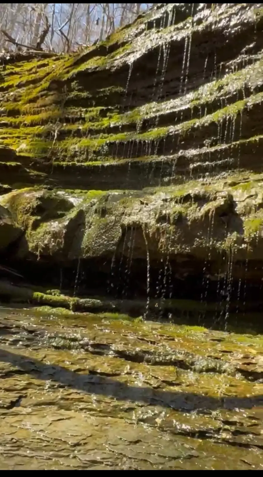 0 Simmons Rd, Ashland City, TN 37015 - Image #3