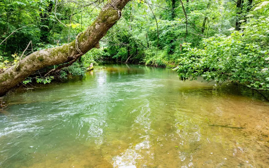 0 Pine Hill Road Se, Rydal, GA 30171 - #3