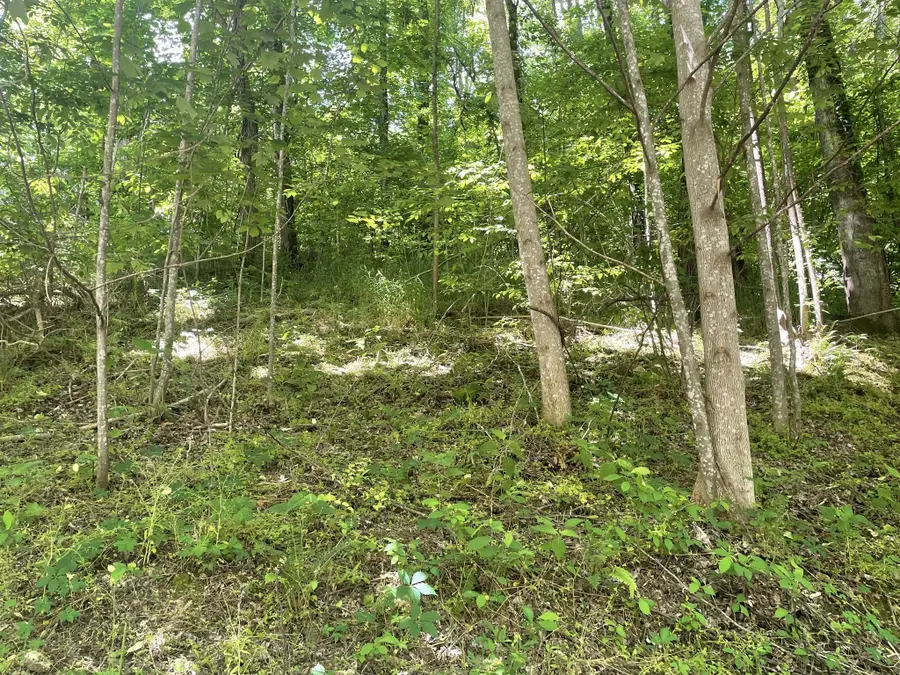 0 Harbor Dr, Lancaster, TN 38569 - Image #3