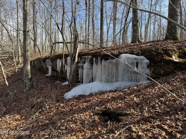 37 Crystal Point, Monterey, TN 38574