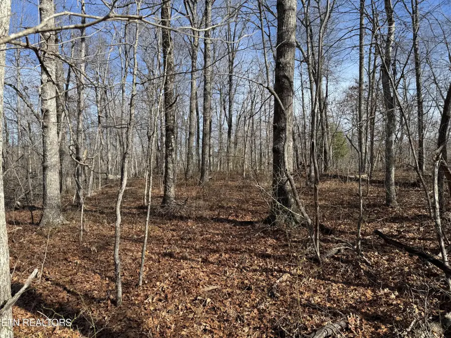 37 Crystal Point, Monterey, TN 38574 - Image #3