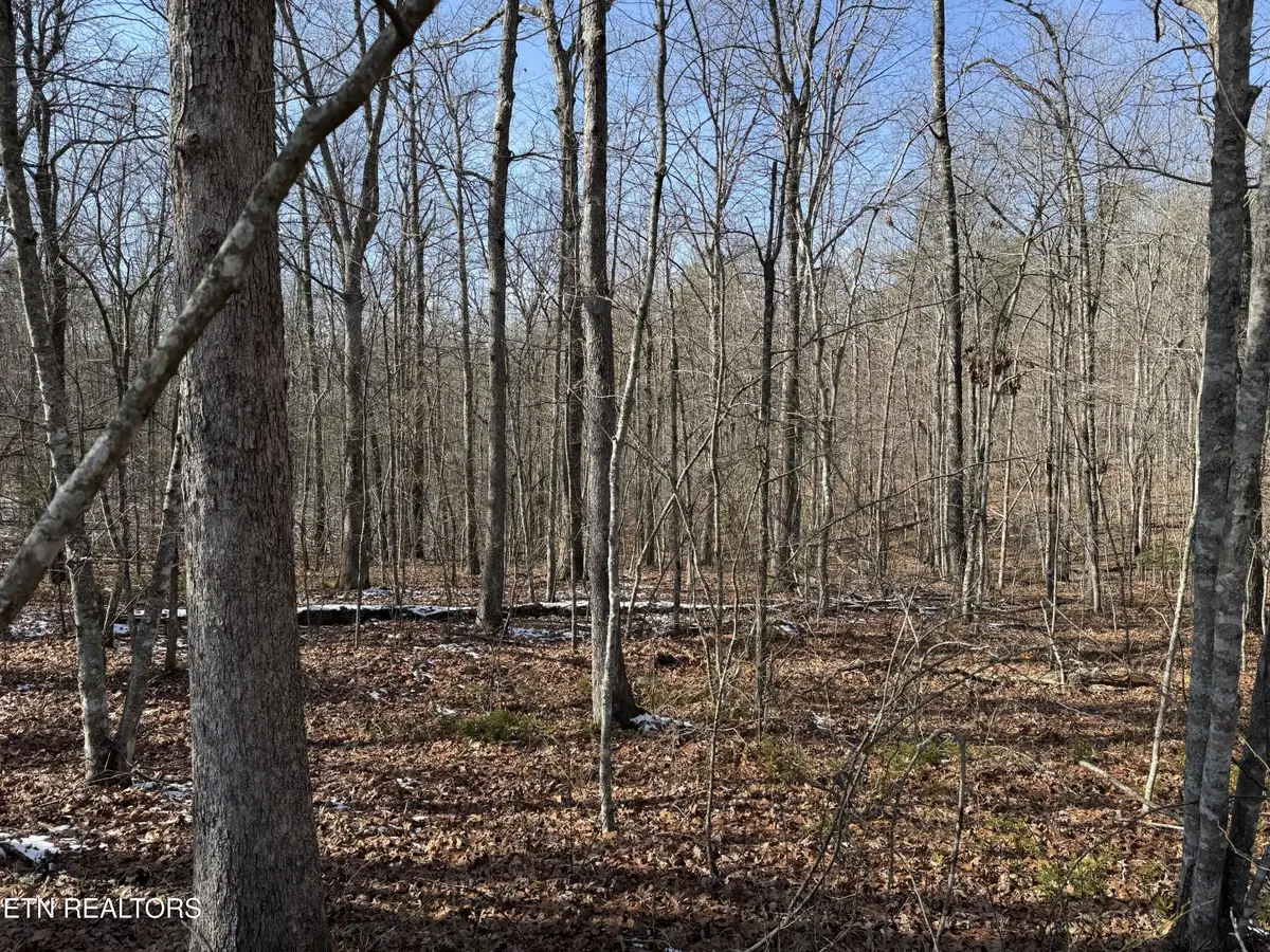 0 Belmont Circle, Monterey, TN 38574 - Image #1