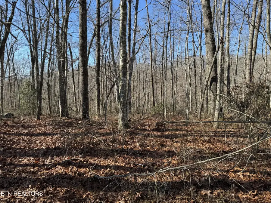 0 E Cove Rd, Monterey, TN 38574 - Image #2