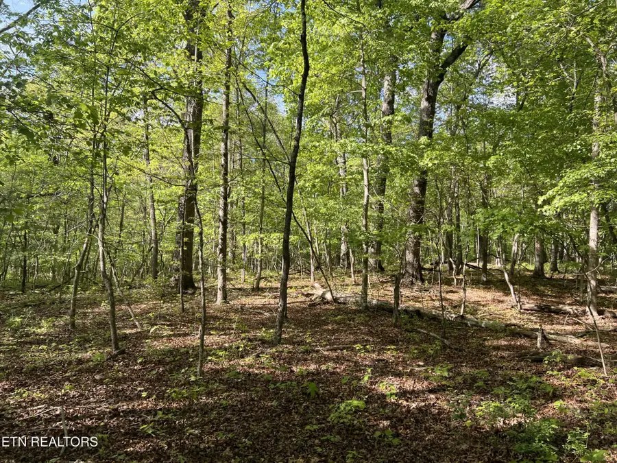 658 Peavine Firetower Rd, Crossville, TN 38571 - Image #2