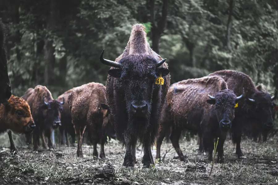 1010 Bison Ridge, Joelton, TN 37080 - Image #3