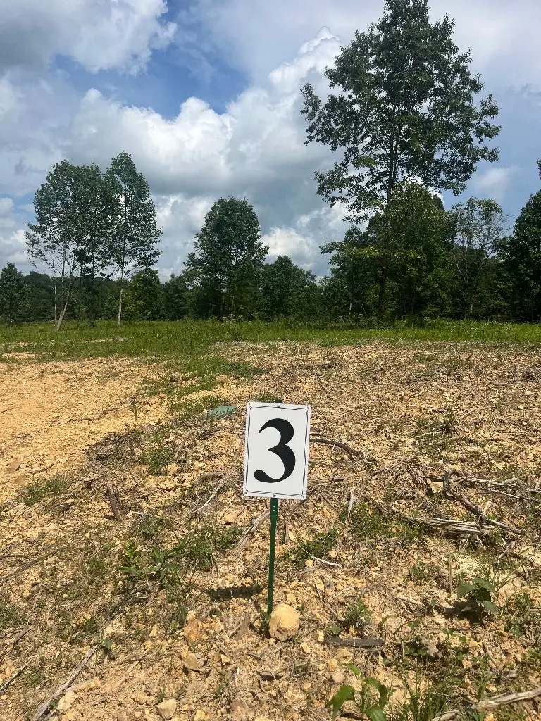 #3
