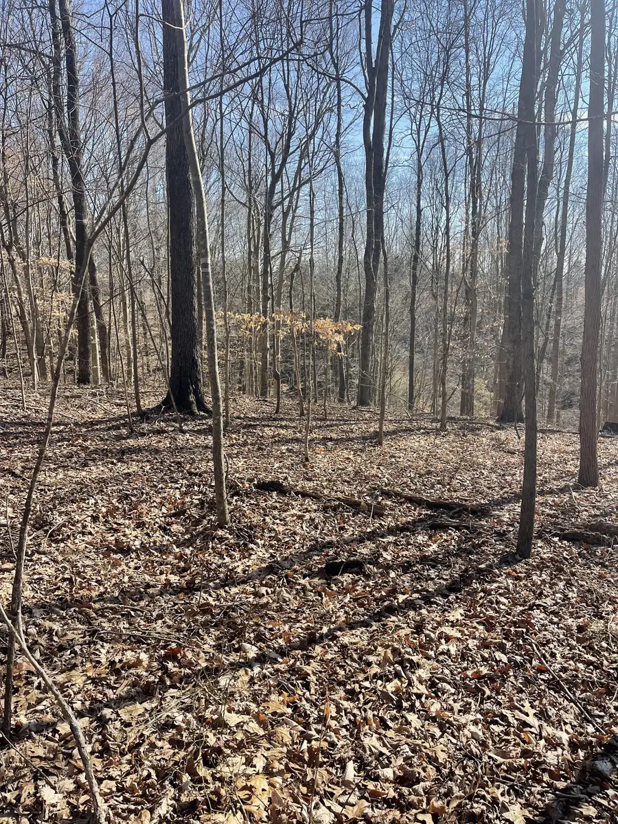 #2