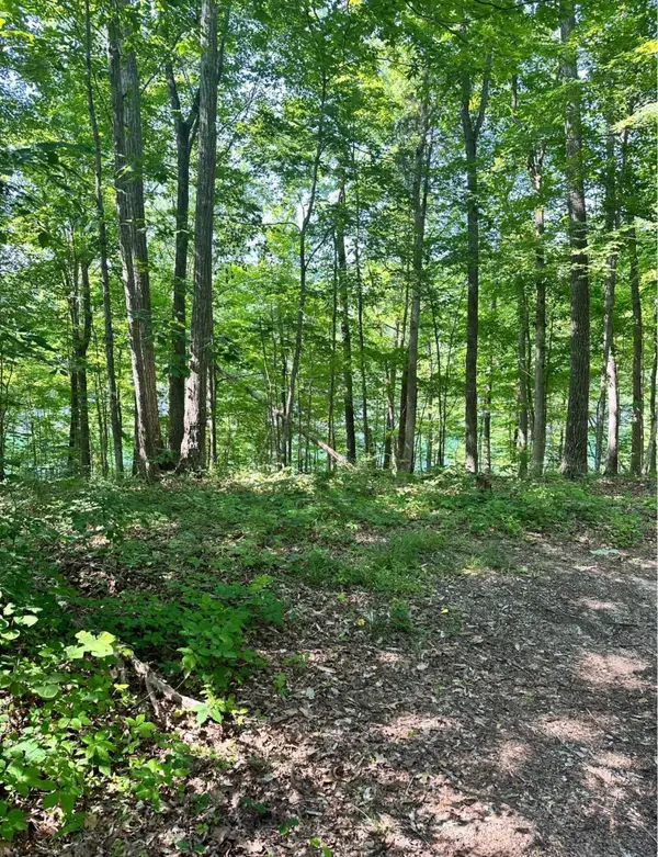 0 Northshore Dr, Bronston, KY 42518