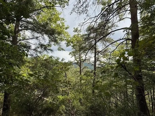 #2