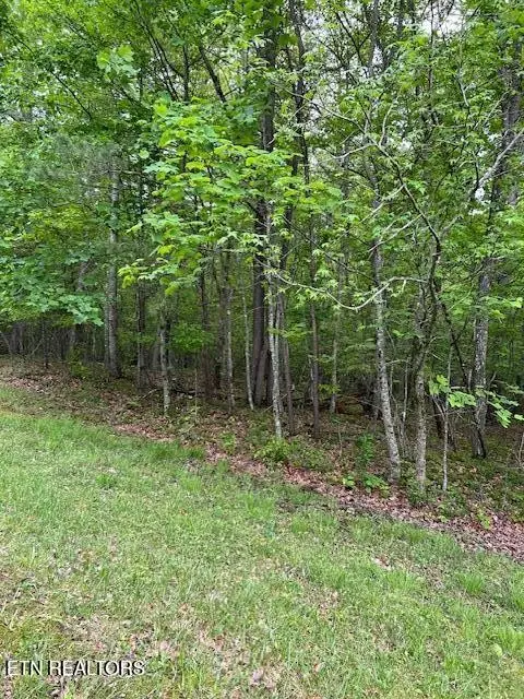 0 Pinney Place, Monterey, TN 38574 - Image #2