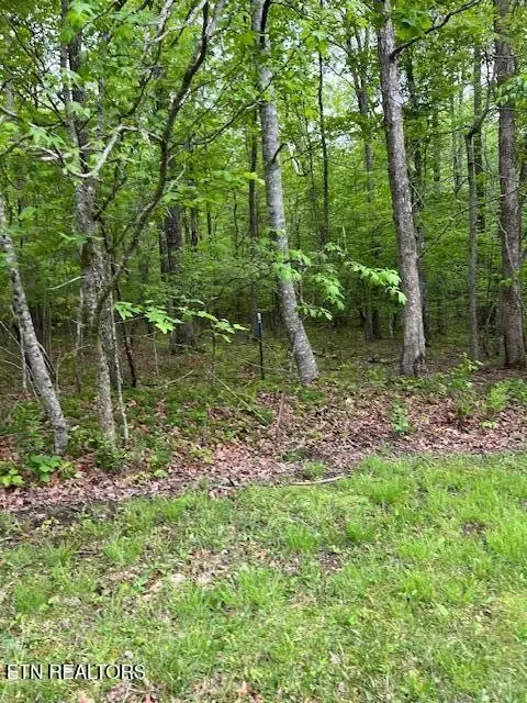 0 Pinney Place, Monterey, TN 38574 - Image #3