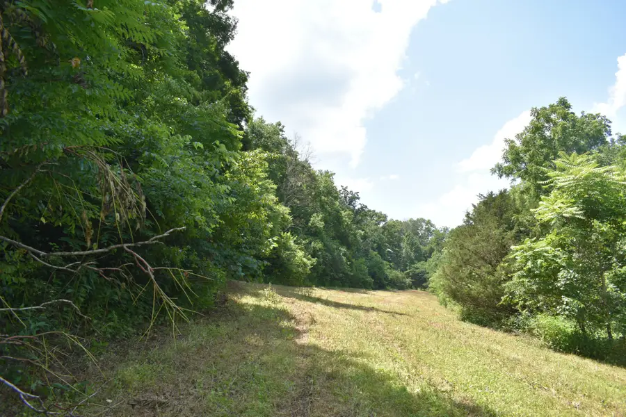 0 Nascar Ln, Pleasant Shade, TN 37145 - #3